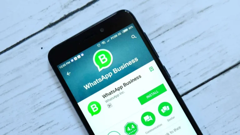 WhatsApp business no smartphone